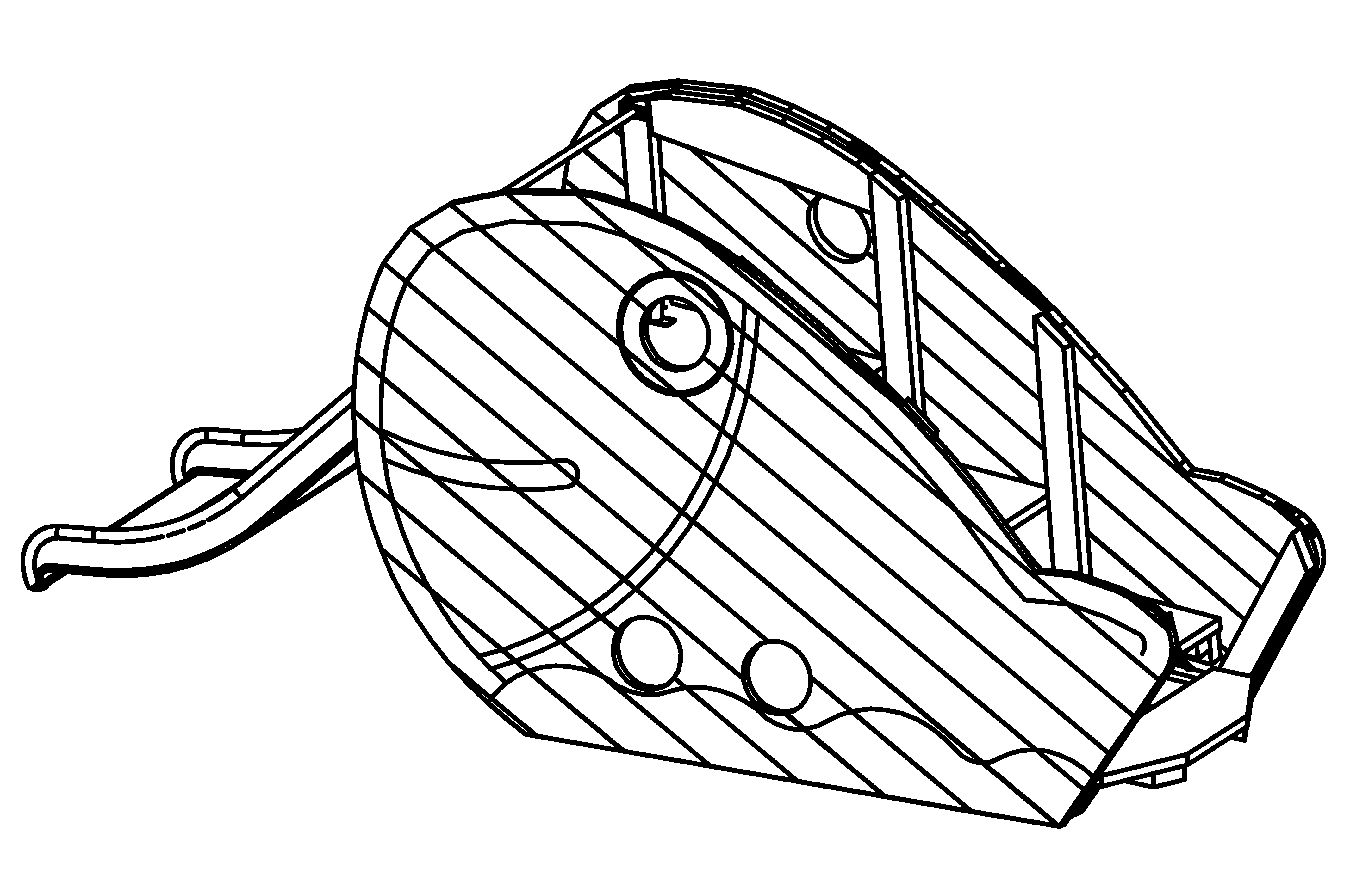 Big Fish with Slide and Staircase with core-free sawn-timbers