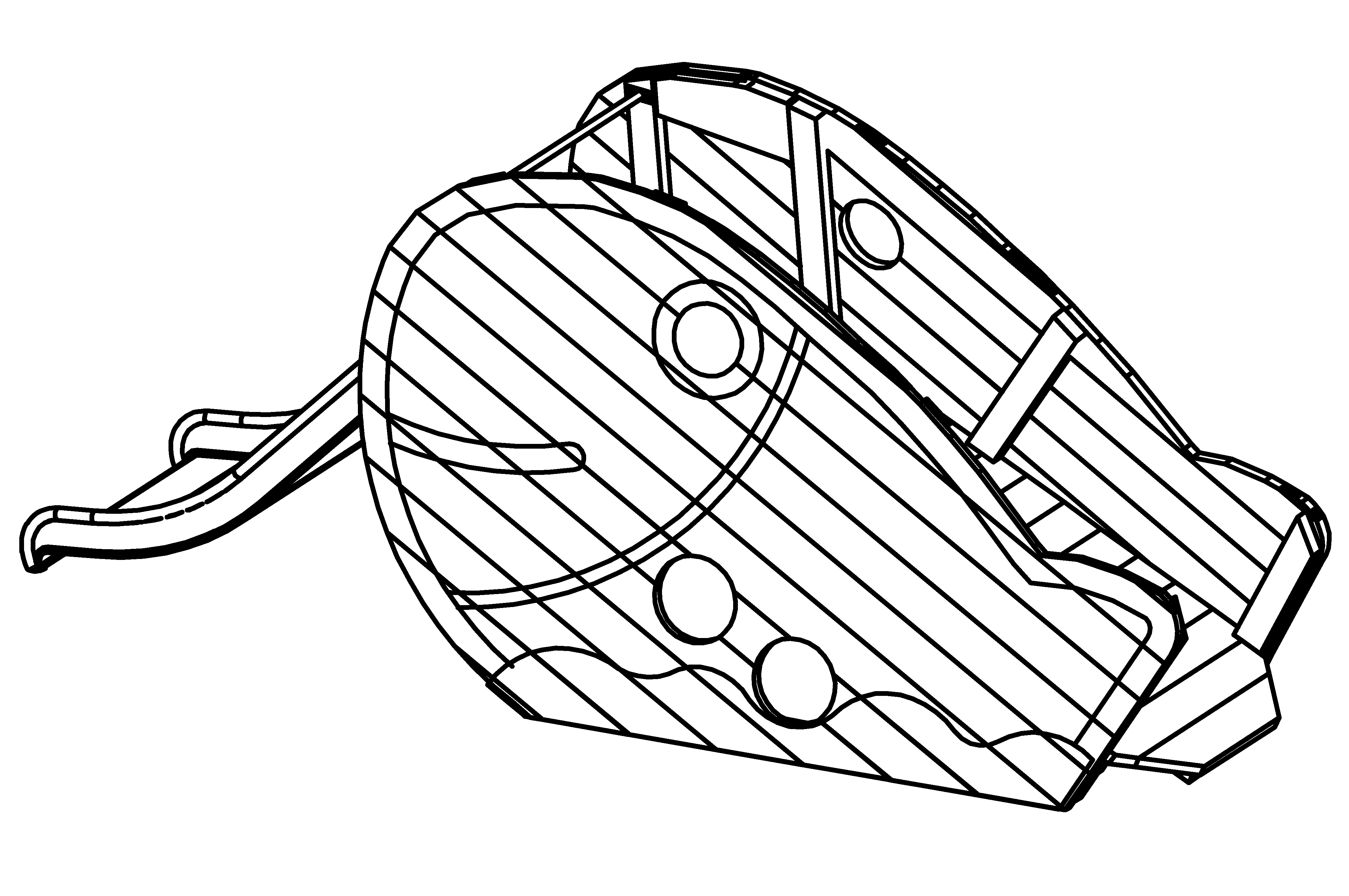 Big Fish with slide and ramp, width = 1 m with core-free sawn-timbers