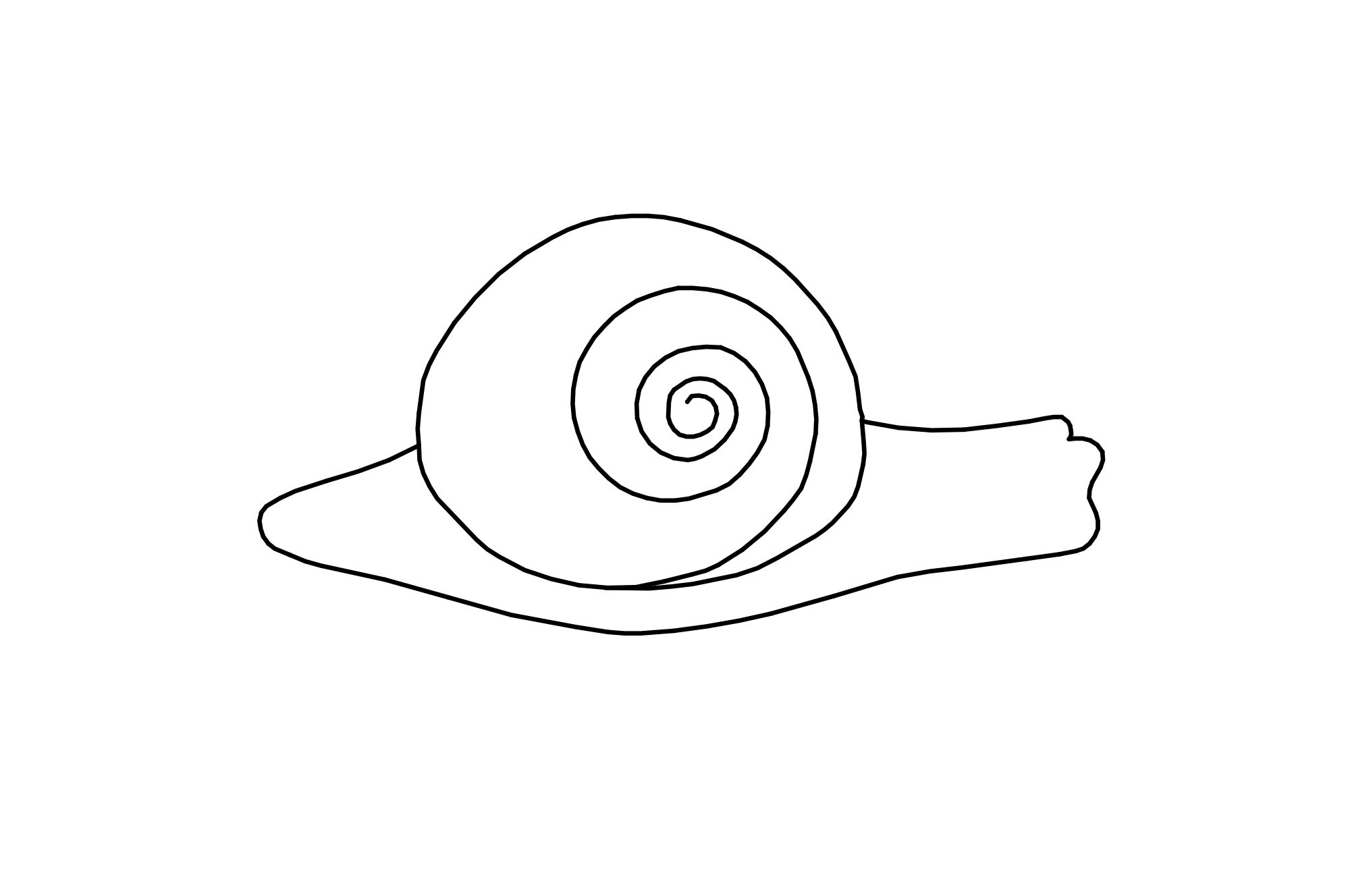 Stroking Stone Snail, colour brown