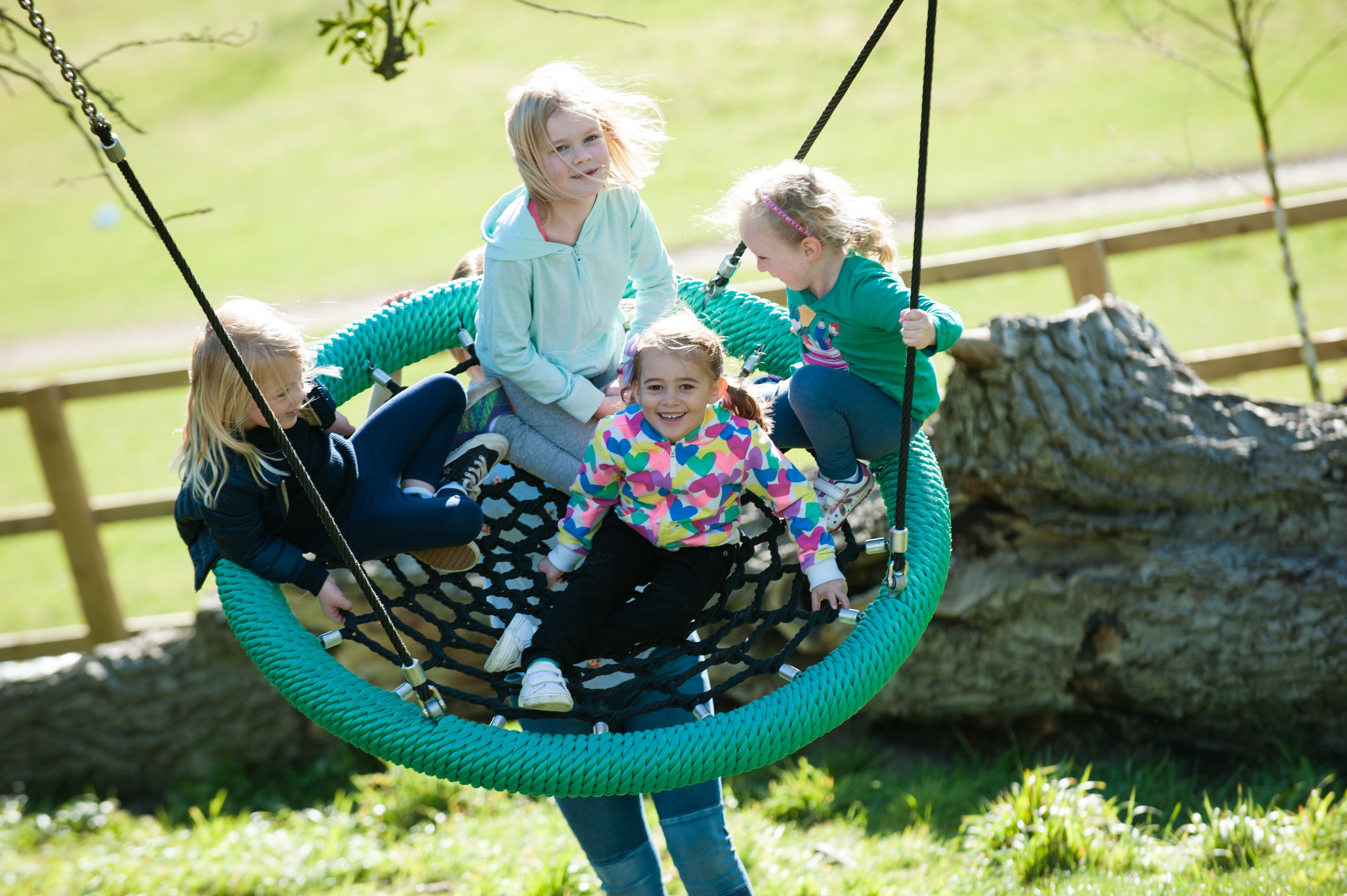 The well-known Cradle Nest Swing is a basket swing for play areas and group swing