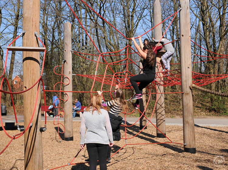 Climbing Forest - Type 02, rope colour = red